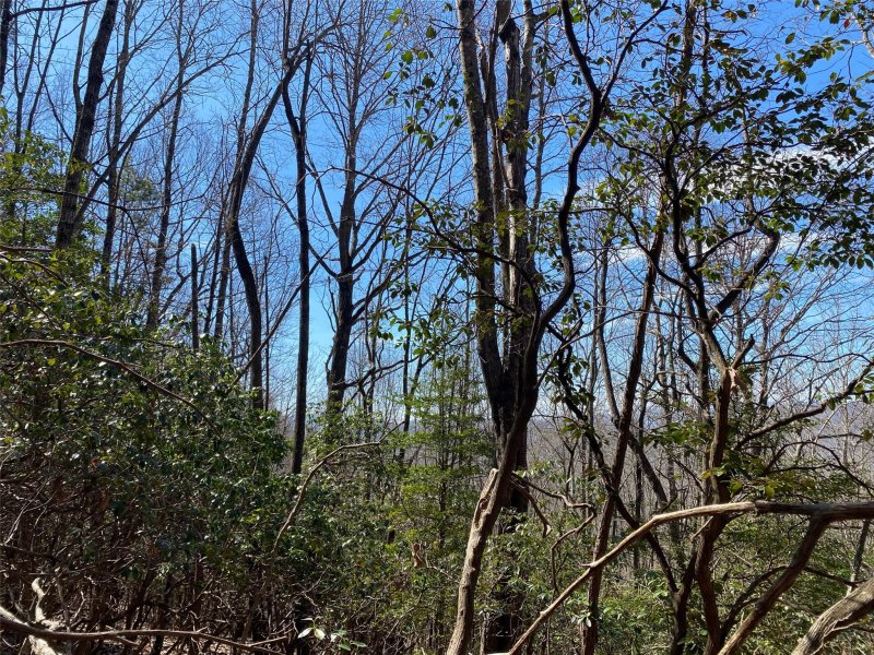 Property image 2 of Lot 187 Wild Cherry Drive in High Vista, Mills River, NC 28759