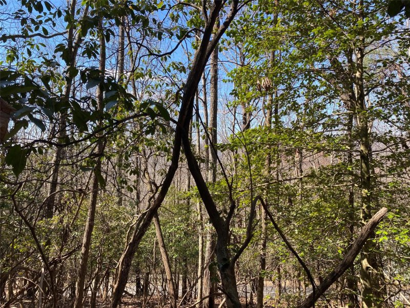 Property image 5 of Lot 187 Wild Cherry Drive in High Vista, Mills River, NC 28759