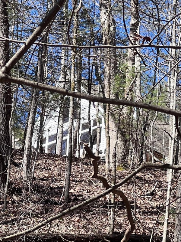 Property image 5 at 6466 Tommys Trail, Connelly Springs, NC 28612