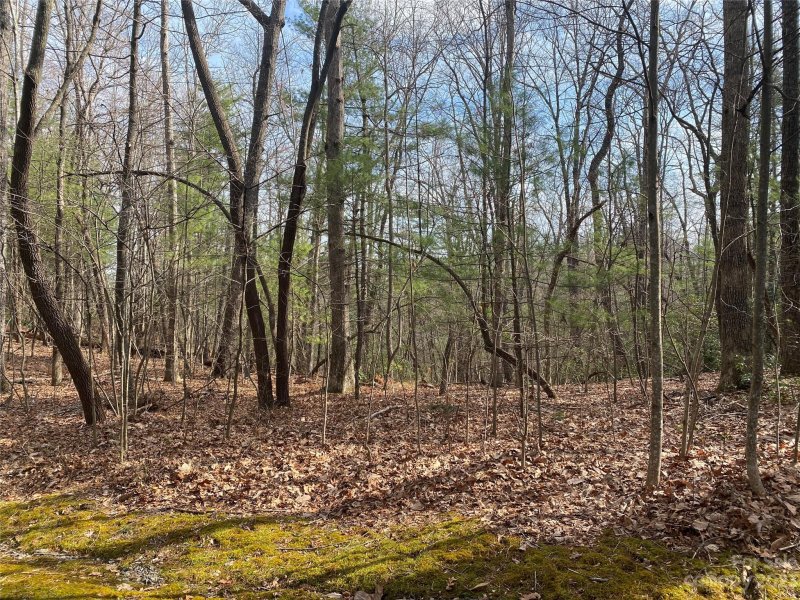 Property image 2 at 000 Sherwood Drive, Flat Rock, NC 28731