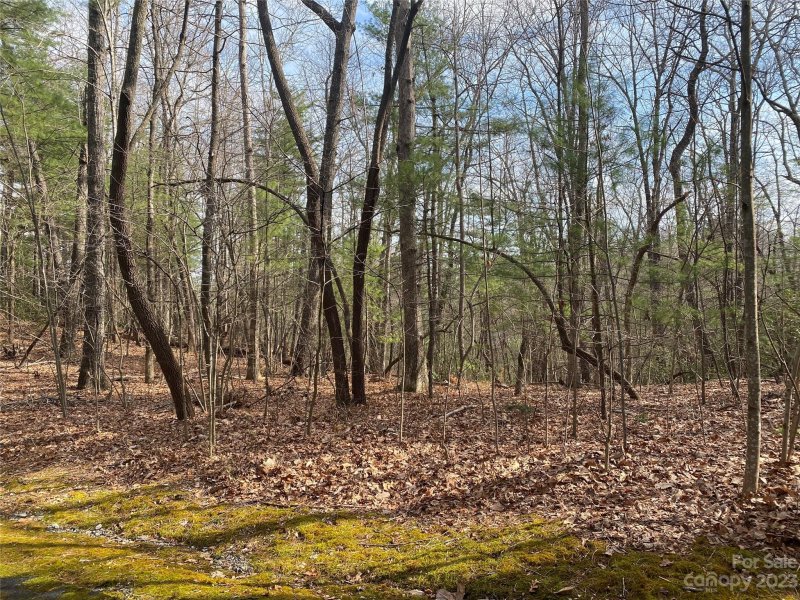 Property image 3 at 000 Sherwood Drive, Flat Rock, NC 28731