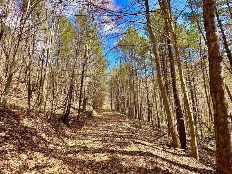 Property image 2 at 3448 Valley Drive, Lenoir, NC 28645