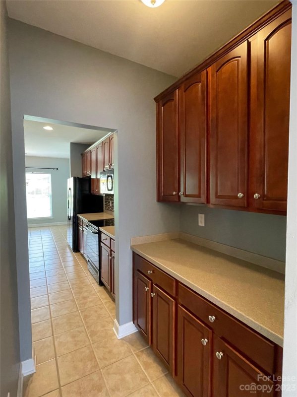 Property image 5 at 668 Ravenglass Drive, Fort Mill, SC 29715