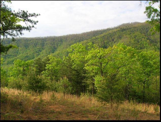 Property image 5 at 102 Trillium Lane, Black Mountain, NC 28711