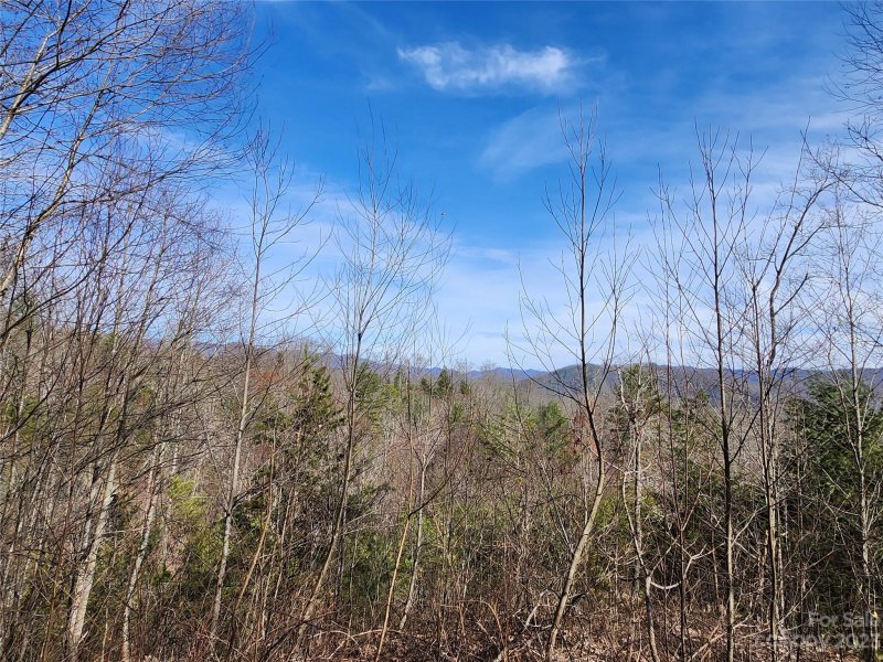 Property image 2 at 435 Pine Cone Trail, Marshall, NC 28753