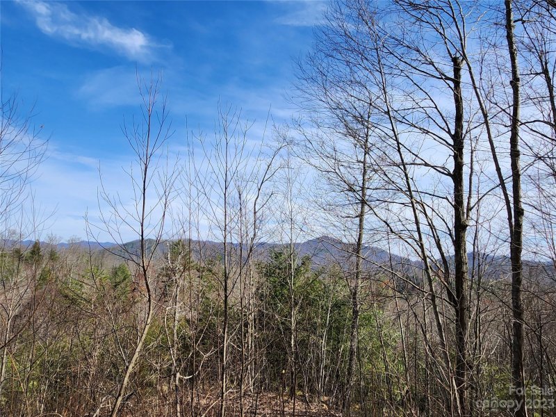 Property image 3 at 435 Pine Cone Trail, Marshall, NC 28753