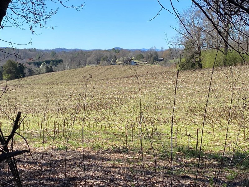 Property image 3 at 2085 Piper Ridge Drive, Lenoir, NC 28645