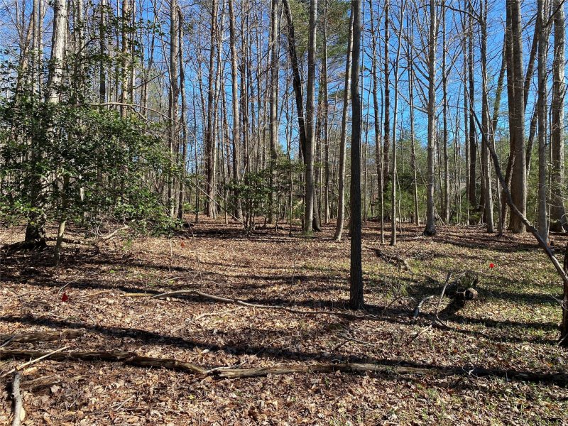 Property image 4 at 2085 Piper Ridge Drive, Lenoir, NC 28645