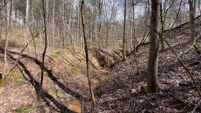 Property image 2 at 259 Hearthstone Drive, Union Mills, NC 28167