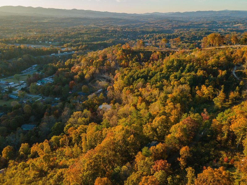 Property image 5 at 202 Mostert Drive, Asheville, NC 28804