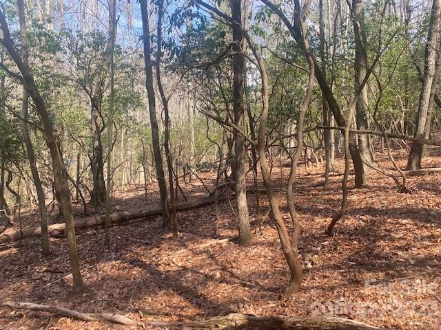 Property image 2 at 368 Campbell Drive, Pisgah Forest, NC 28768