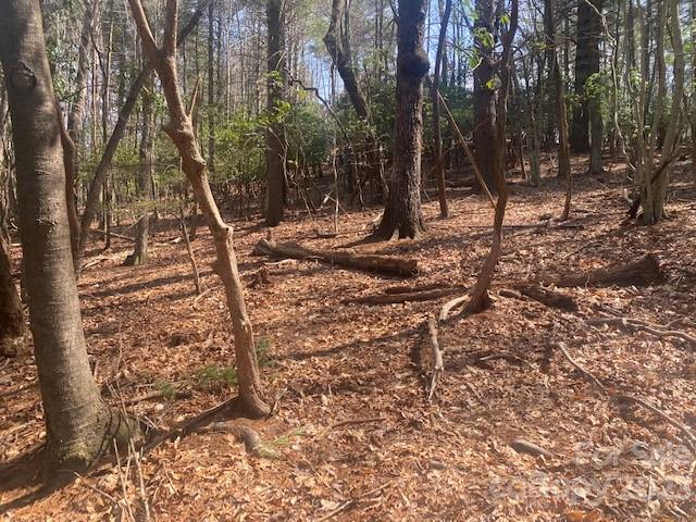 Property image 3 at 368 Campbell Drive, Pisgah Forest, NC 28768