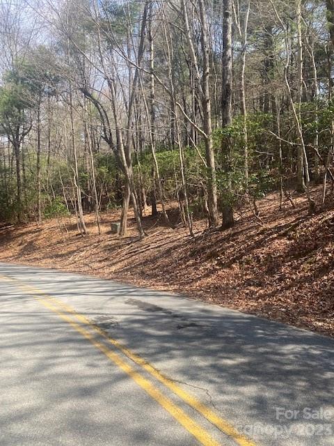 Property image 4 at 368 Campbell Drive, Pisgah Forest, NC 28768