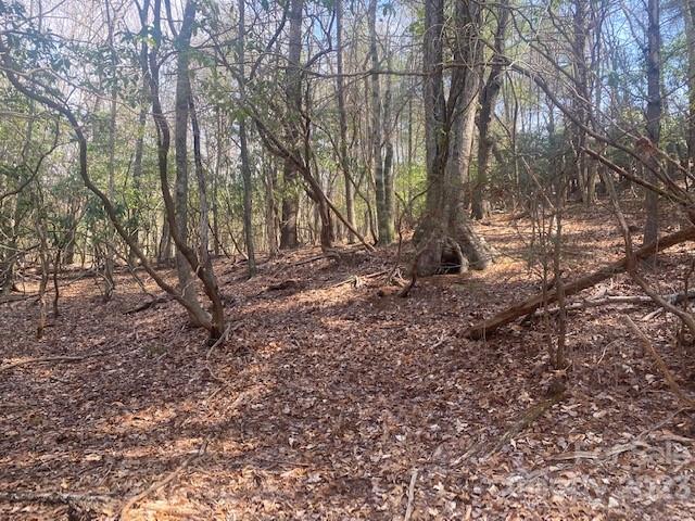 Property image 5 at 368 Campbell Drive, Pisgah Forest, NC 28768