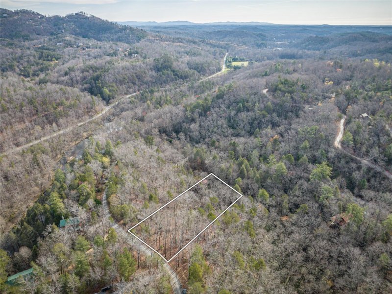 Property image 2 at 00 Pheasant Street, Lake Lure, NC 28746