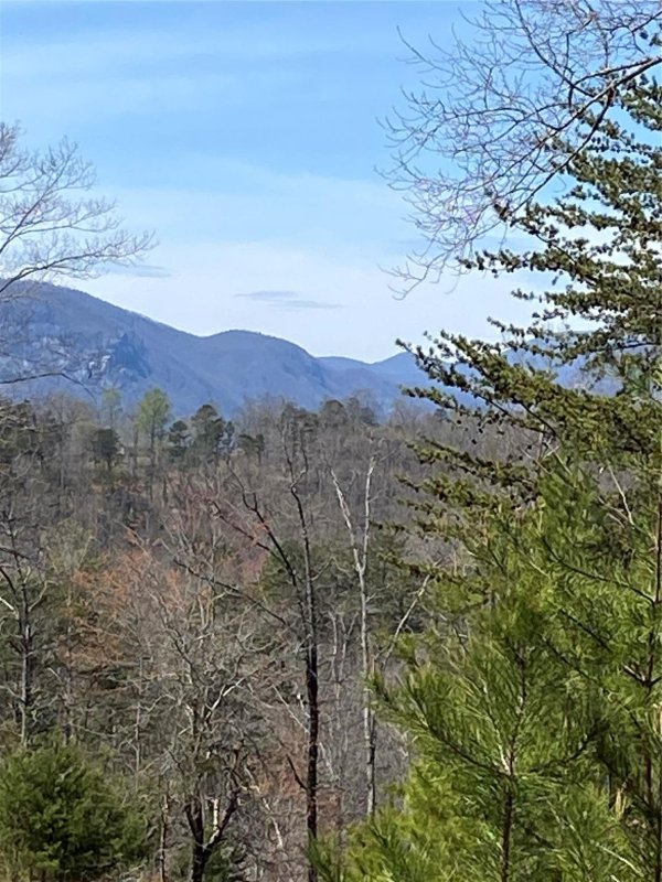 Property image 4 at 0 Deer Jump Trail, Lake Lure, NC 28746