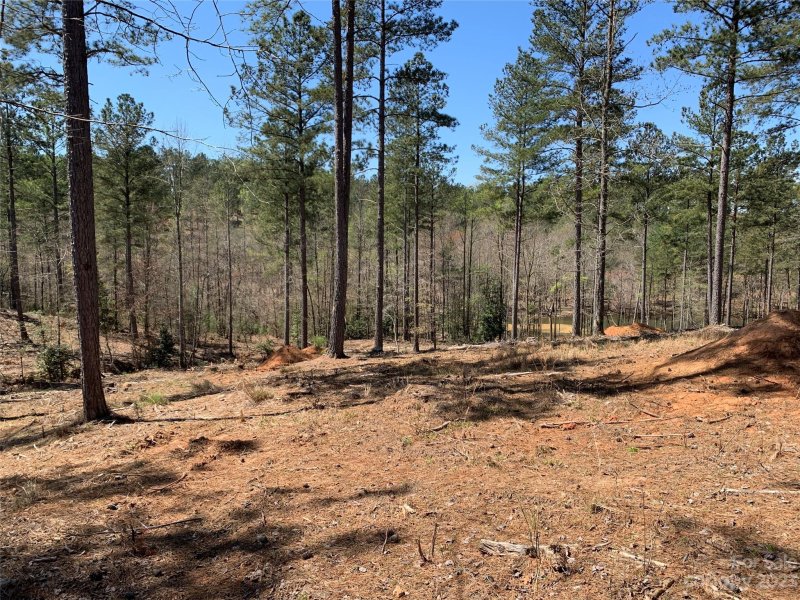Property image 4 at Lot 121 Decker Road, Connelly Springs, NC 28612