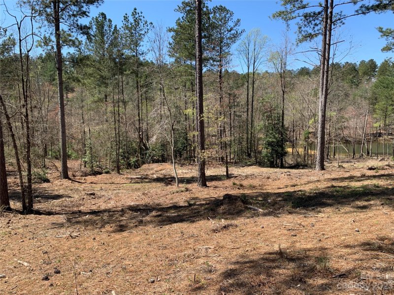 Property image 5 at Lot 121 Decker Road, Connelly Springs, NC 28612