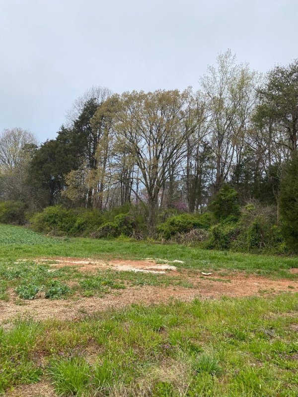 Property image 2 of 148 151 229 233 S Chipley Ford Road in Chipley Park, Statesville, NC 28625