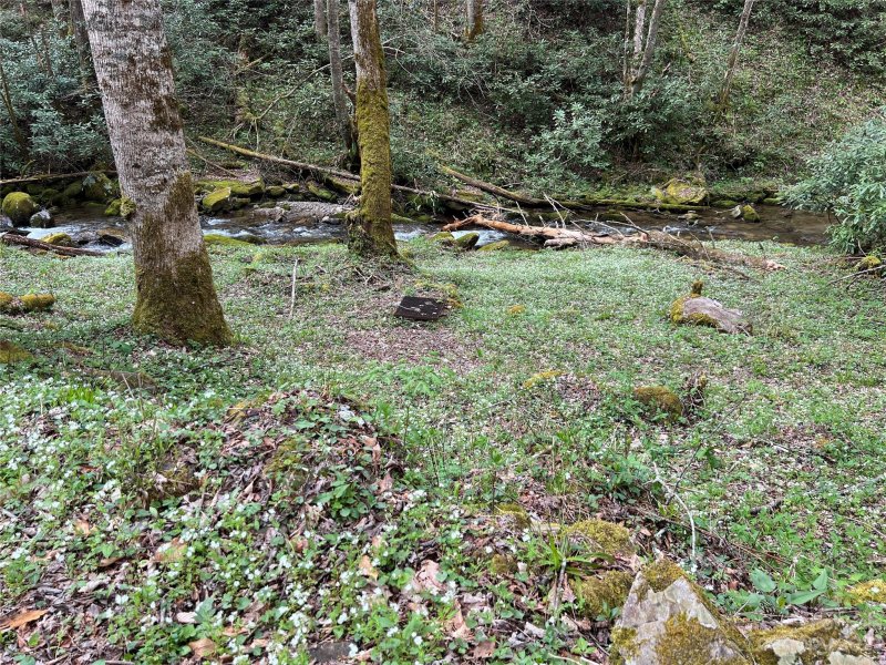 Property image 4 at Lot 86b Reservation Road, Maggie Valley, NC 28751