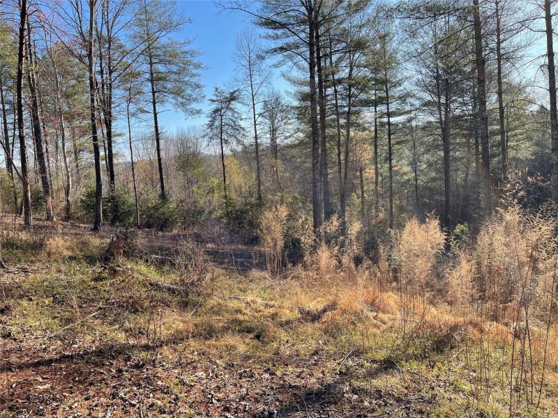 Property image 3 at 3192 Bear Paw Avenue, Valdese, NC 28690