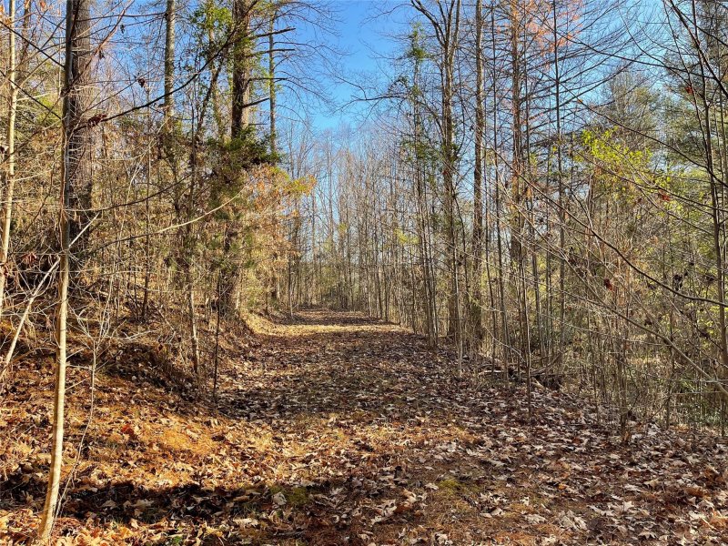 Property image 5 at 3192 Bear Paw Avenue, Valdese, NC 28690