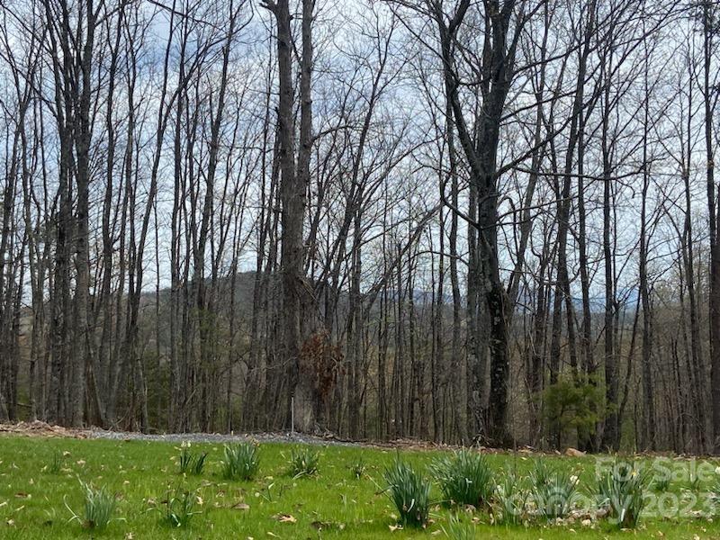 Property image 3 at 3576 Back Bluff Drive, Morganton, NC 28655