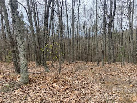 Property image 4 at 3576 Back Bluff Drive, Morganton, NC 28655