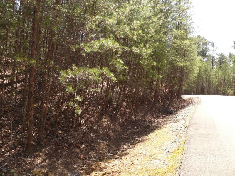 Property image 2 at Lot 95 Westridge Drive, Lake Lure, NC 28746