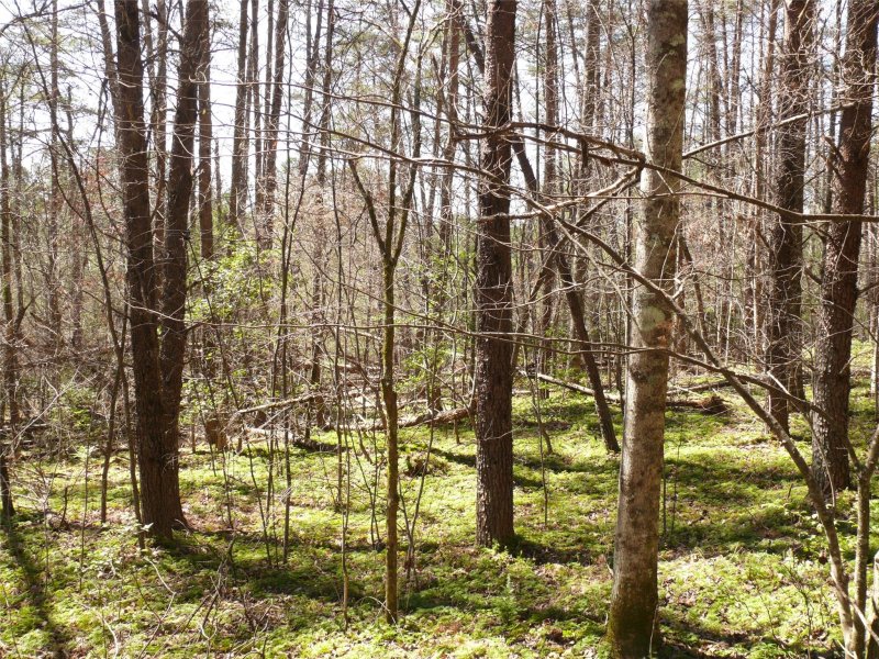 Property image 4 at Lot 95 Westridge Drive, Lake Lure, NC 28746