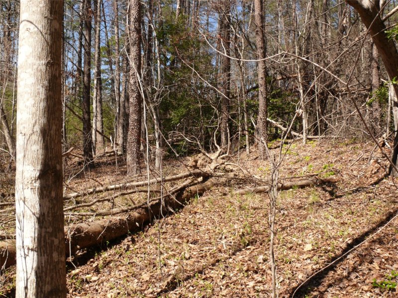 Property image 5 at Lot 95 Westridge Drive, Lake Lure, NC 28746