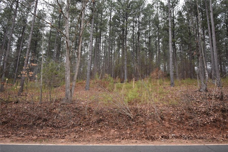 1603 Smokey Creek Road