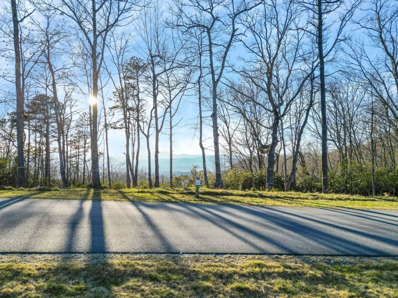 Property image 2 at Lot 52 Mountain Grove Lane, Fletcher, NC 28732