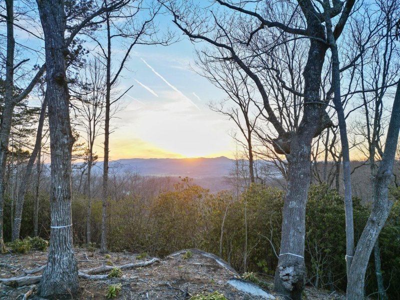 Property image 3 at Lot 52 Mountain Grove Lane, Fletcher, NC 28732