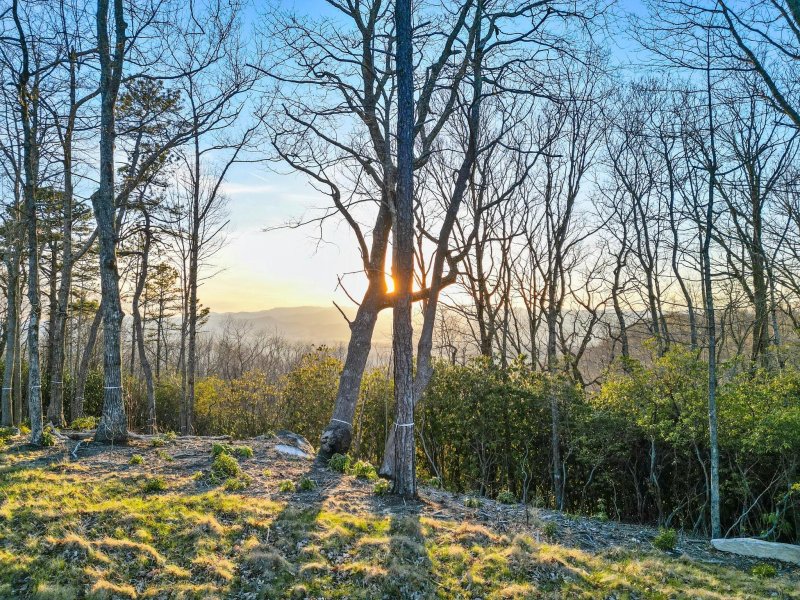 Property image 4 at Lot 52 Mountain Grove Lane, Fletcher, NC 28732
