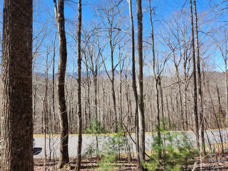 Property image 3 at 00 Rainbow Trout Drive, Spruce Pine, NC 28777