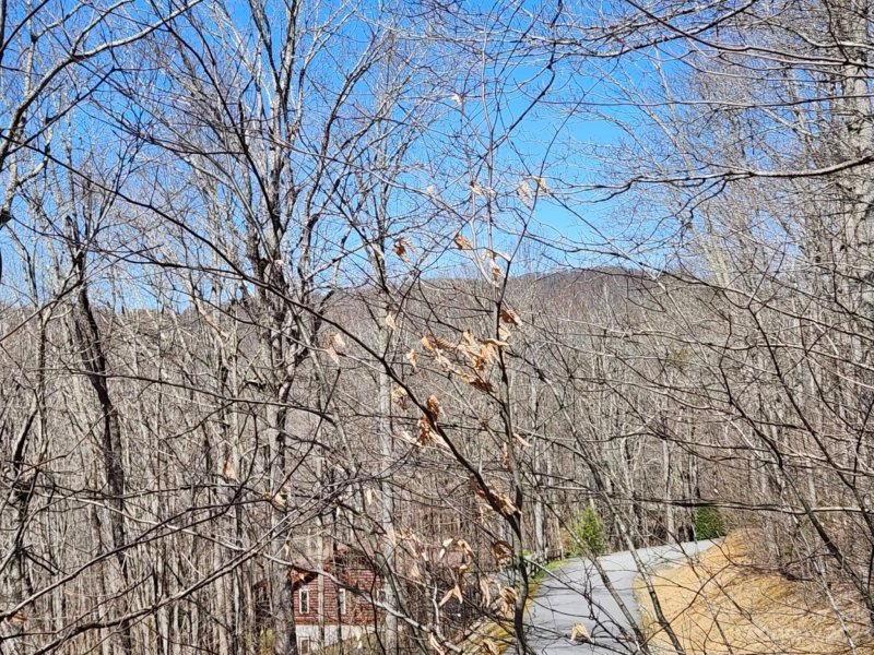 Property image 5 at 00 Rainbow Trout Drive, Spruce Pine, NC 28777