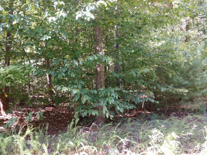 Property image 4 at 00 James View Road, Marion, NC 28752