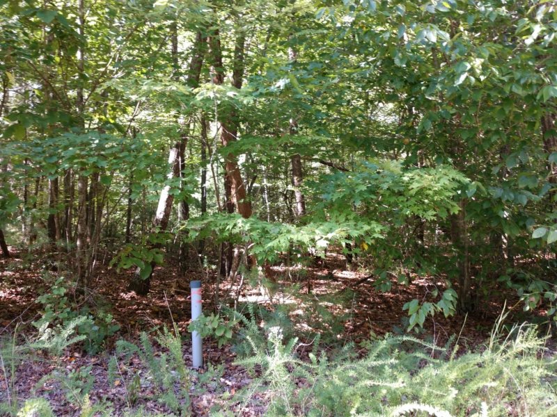 Property image 5 at 00 James View Road, Marion, NC 28752