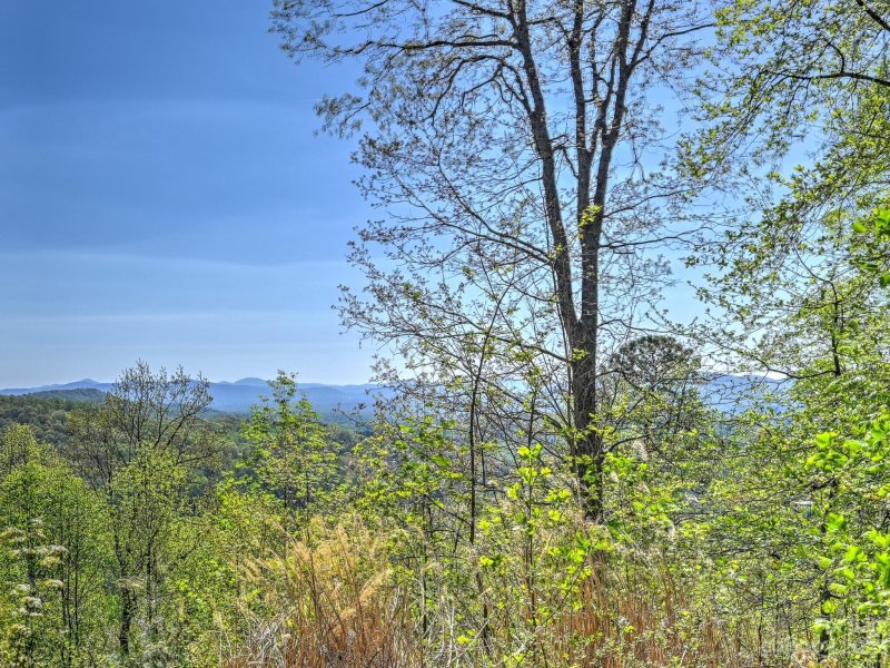 Property image 2 at 152 Hidden Meadow Drive, Candler, NC 28715