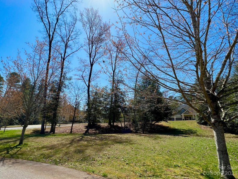 Property image 2 at Lot 25 Cadence Circle, Brevard, NC 28712