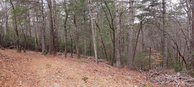 Property image 2 at Tbd W Lake Shore Road, Marion, NC 28752