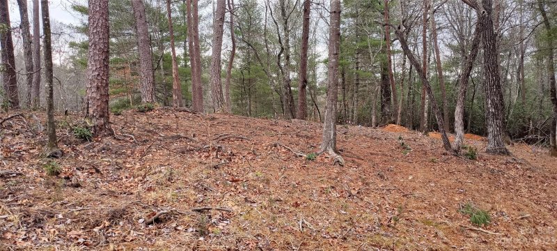 Property image 4 at Tbd W Lake Shore Road, Marion, NC 28752