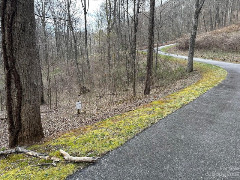 Property image 3 at Lot 17 Mountain Watch Drive, Waynesville, NC 28785