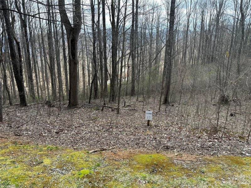 Property image 4 at Lot 17 Mountain Watch Drive, Waynesville, NC 28785