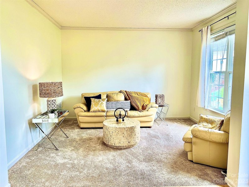 Property image 3 at 164 River Birch Drive, Fletcher, NC 28732