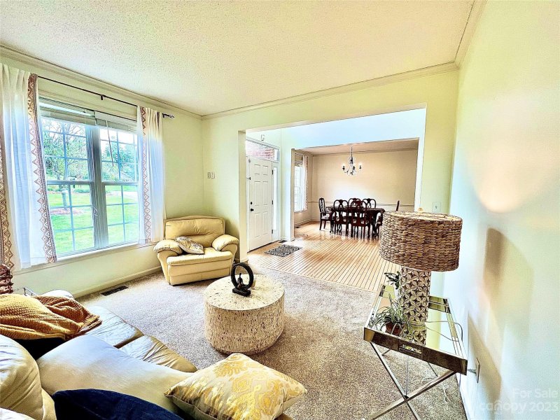 Property image 5 at 164 River Birch Drive, Fletcher, NC 28732