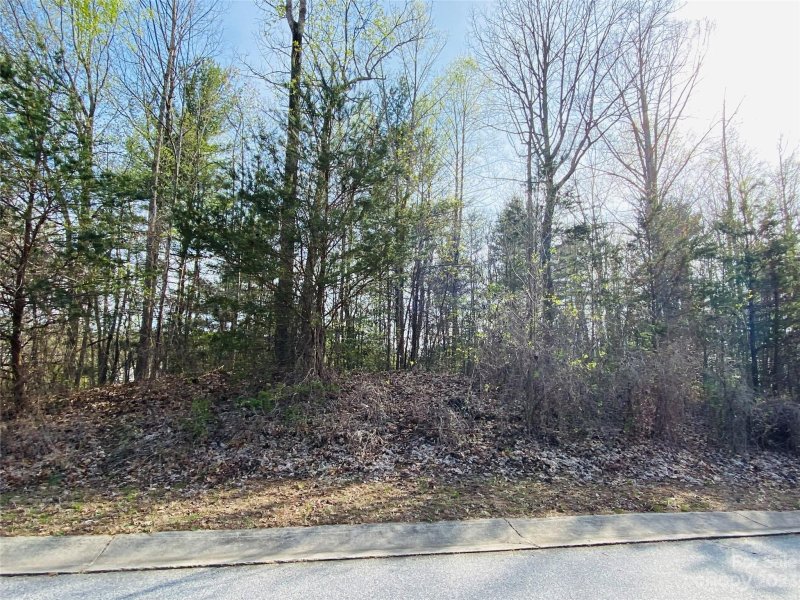 Property image 2 at Lot 33 Summerhill Street, Lenoir, NC 28645