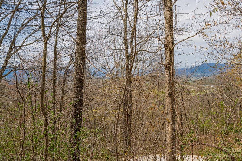 Property image 2 at 142 Blake Drive, Canton, NC 28716