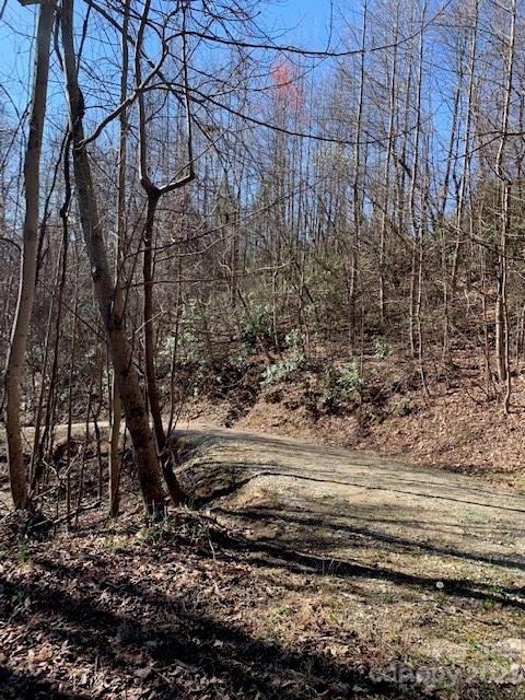 Property image 2 at Tbd Rhododendron Drive, Old Fort, NC 28762